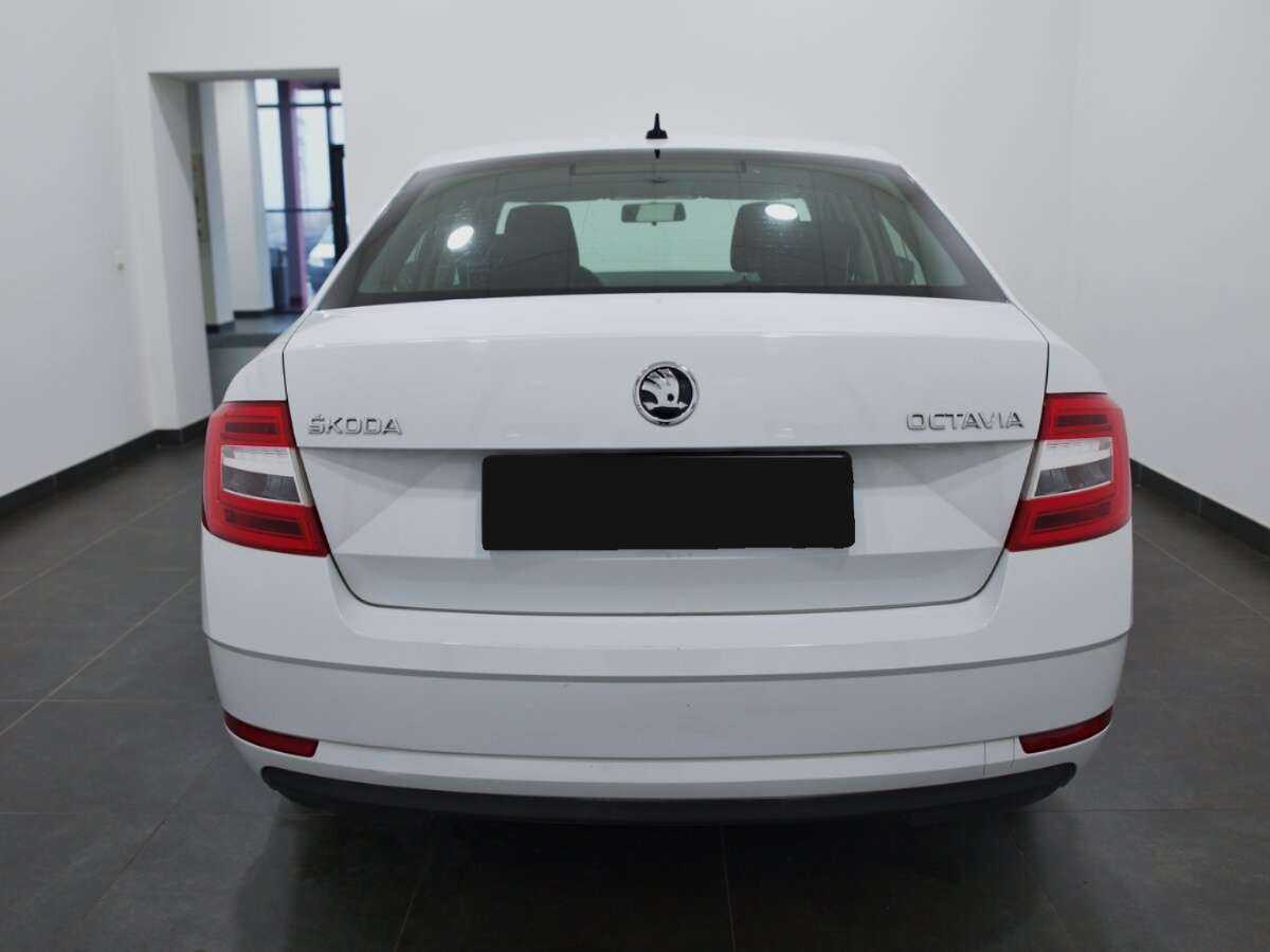 Skoda Octavia, 2019 Фото №4